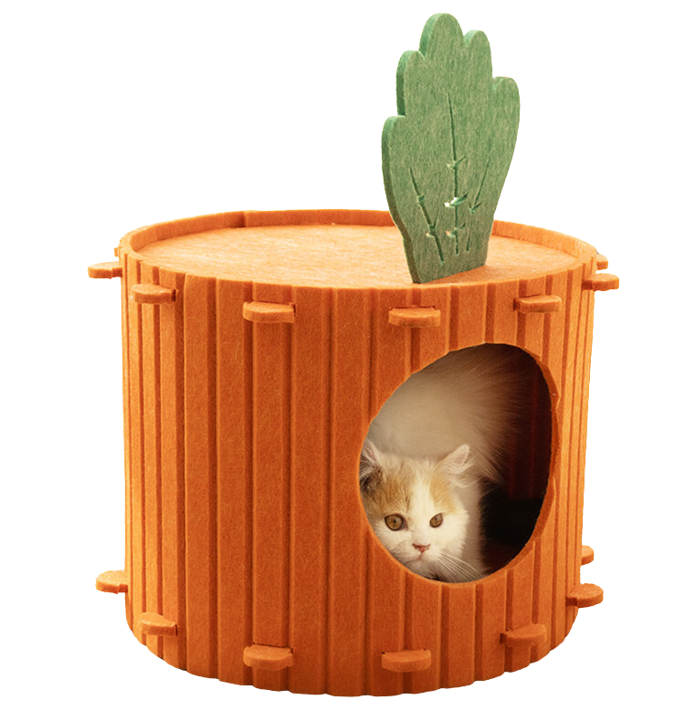 Carrot Cat Cavern