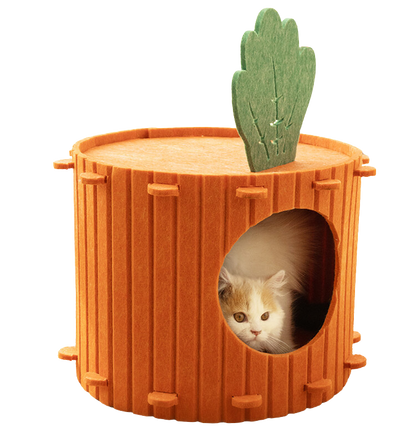 Carrot Cat Cavern