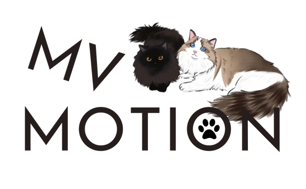 mvmotion